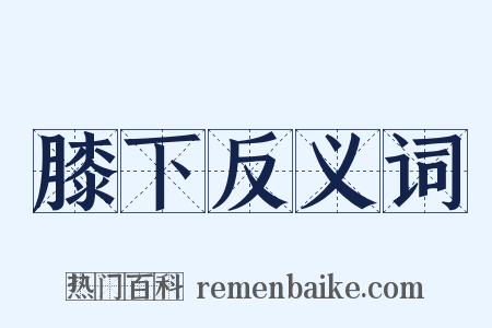 膝下反义词是什么意思的图片